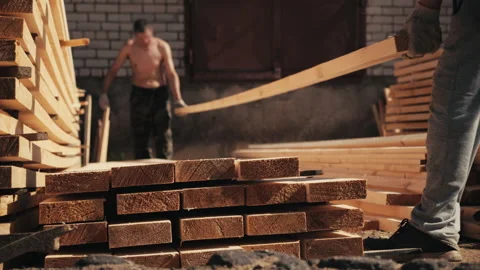 Two male workers stacking long wooden timber boards for drying outdoors Stock Footage 207447113