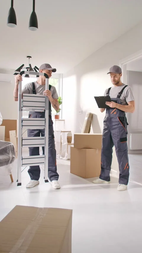 Two male workers in uniform preparing for renovation, one holding clipboard Stock Footage 313620818