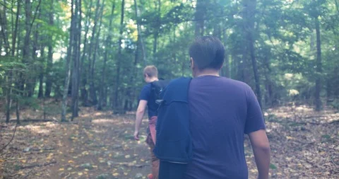 Two Males hiking through dense forest trail Stock Footage 112146691