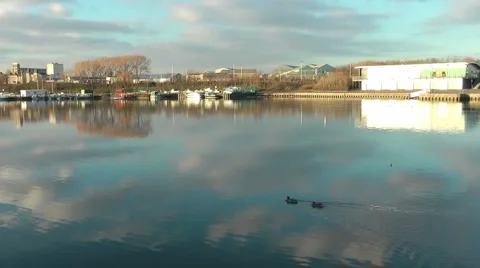Two Mallard ducks swim past Tees Rowing club, Stock Footage 1059158