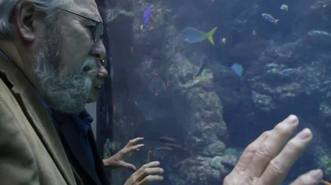 Two man Describes about the fish by touching aquarium glass Stock Footage 36153575