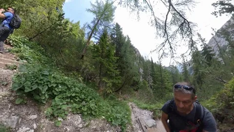 Two Man do Trek on a path between Alpine forest, vr360 effects, sunny summer Stock Footage 114075519