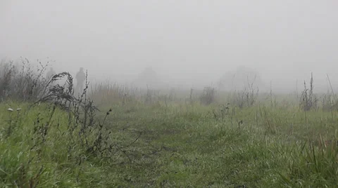 Two man in a fog 動画素材 38731585