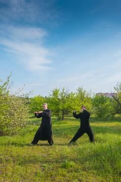 Two man practice tai Chi in a apple savage garden Stock Photos