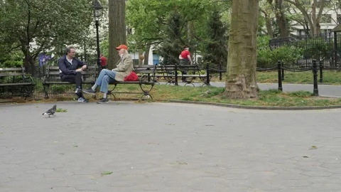 Two Man talk on a bench in Washington Square Park, Manhattan Stock Footage 162815689
