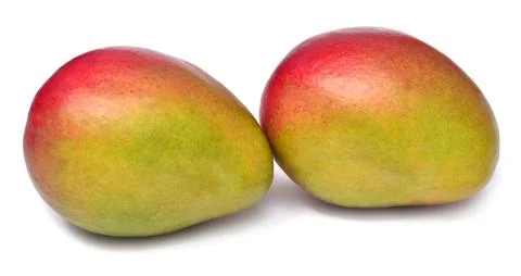 Two mango fruit isolated on white background 스톡 사진