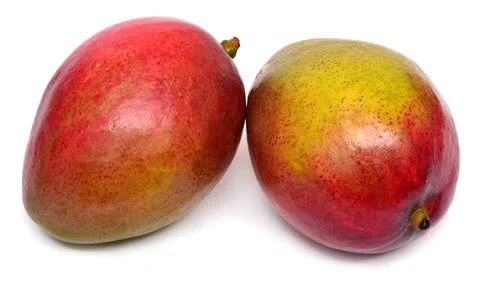 Two mango fruit isolated on white background 스톡 사진