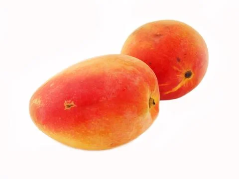 Two mango on white background Stock Photos