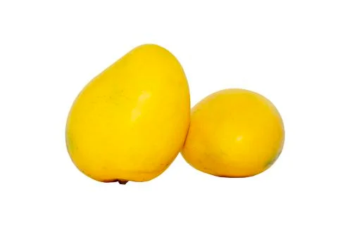 Two mangoes Isolated Front View  Stock Photos