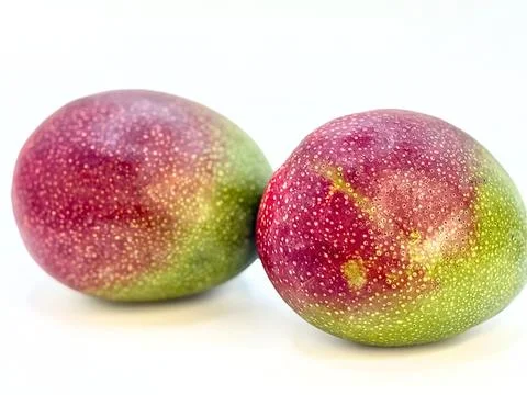 Two mangoes Stock Photos
