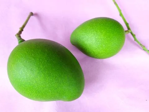 Two mangoes with stems on colour background Stock Photos