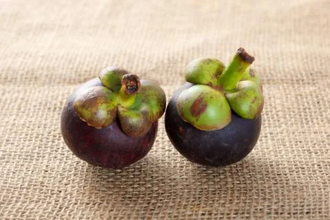 Two mangosteen Stock Photos