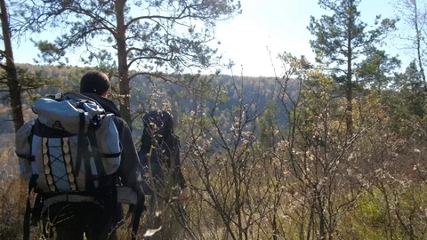 Two man's in forest trail with backpack, gimbal shot Stock Footage 97506109