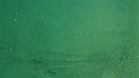 Two Manta Rays Swimming Near the Shore of Los Cabos, Mexico Vídeos de archivo 279000249