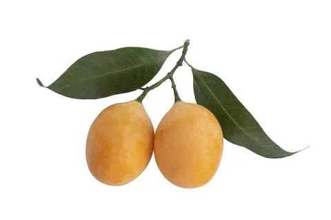 Two Maprangs or Plum mangos on the white background Stock Photos