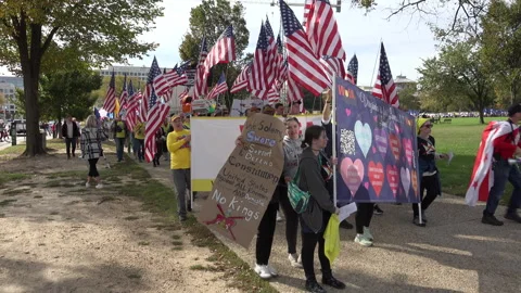 Two marches join up, heading to No Kings protest, DC stock footage Stock Footage 319409450