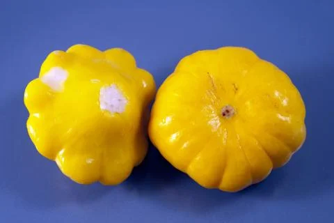 Two marinated pattypans Stock Photos