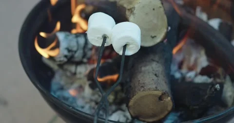 Two Marshmallows on a Roasting Fork Over a Blazing Campfire Stock Footage 314206254
