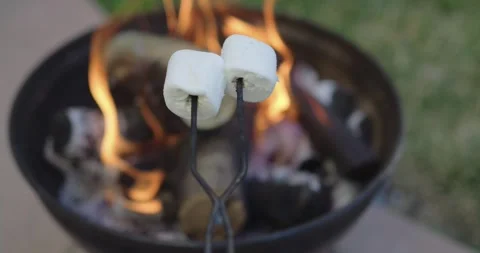 Two Marshmallows on a Roasting Fork in slow motion Stock Footage 314206239