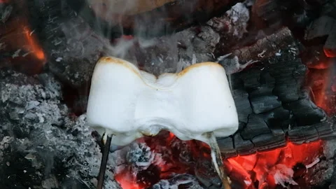 Two marshmallows roasting over glowing embers become golden and sticky, melting Stock Footage 312230392