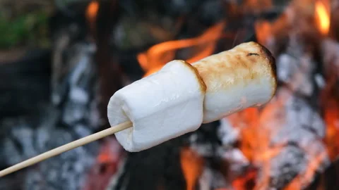 Two marshmallows slowly roast over an open flame, turning golden brown at the Stock Footage 313304919