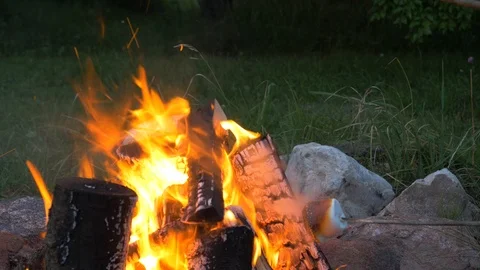 Two marshmallows on sticks burning on bonfire Stock Footage 93178628