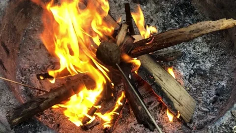 Two meatballs grilling on bonfire Stock Footage 132426698