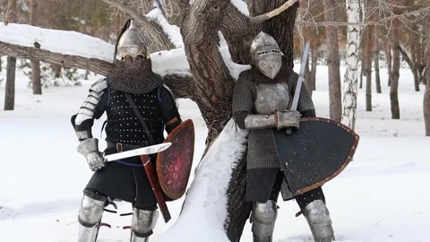 Two medieval warriors in full armor stand against a tree in a winter park Stock Footage 297493087