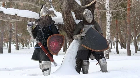 Two medieval warriors in full armor stand against a tree in a winter park Stock Footage 297493110