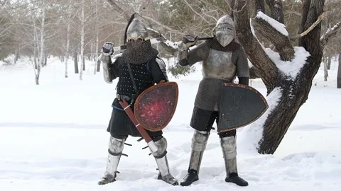 Two medieval warriors in full armor stand against a tree in a winter park Stock Footage 297493116