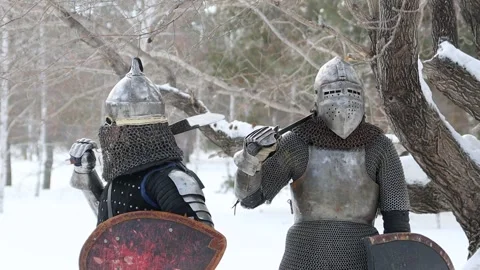 Two medieval warriors in full armor stand against a tree in a winter park Stock Footage 297493343