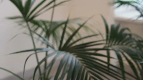 Two Meeting Partners Stock Footage 91651690