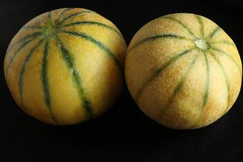 Two melon put in a black background Stock Photos