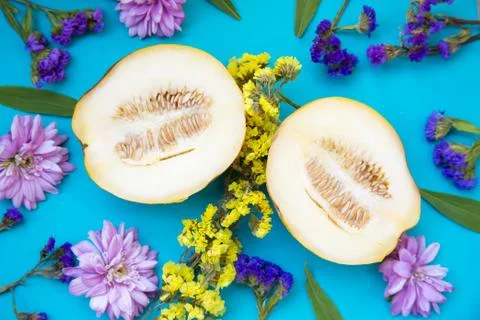 Two melons with flowers Stock Photos