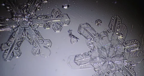 Two Melting Snowflakes Stock Footage 85255259