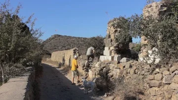 Two men and dog explore archaeological remains Stock Footage 85719140