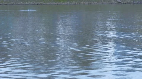 Two Men Are Kayaking Man Sitting on His Knee Paddle a Canoes Glide Across the Stock Footage 60857538