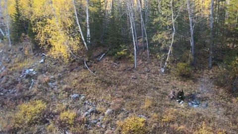 Two men are resting by the fire on the bank of a fast mountain river, autumn Stock Footage 167613267