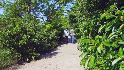 Two men are walking along an old asphalt road with green meadows and fruit trees Stock Footage 108228958