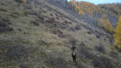 Two men are walking along the slope of the halma, there are bushes around, in Stock Footage 147241995
