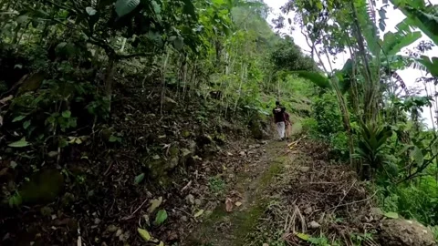 Two men are walking towards a tropical forest Stock Footage 278963076