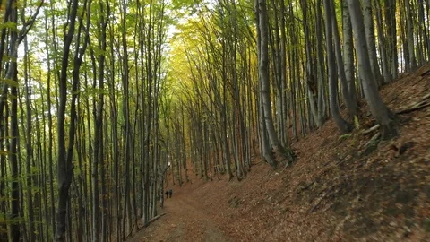 Two Men With Backpacks are on the Trail. Carpathian Mountains. Ukraine. Stock Footage 107127720