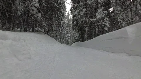 Two Men With Backpacks Go On a Snowy Road in the Forest Stock Footage 101809276