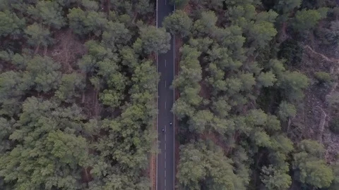 Two men with bikes in the middle of the mountain. Stock Footage 81516702