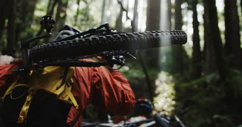 Two men carrying mountain bikes in slow motion through the forest Stock Footage 64324294