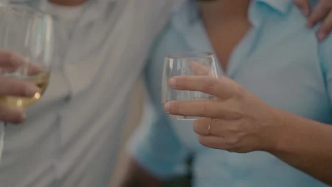 Two men cheers with wine and whiskey glasses. Video stock 231425802