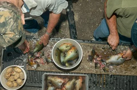 Two men cleaning fish Stock Photos