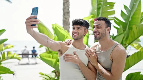 Two men couple smiling confident having video call at park Video stock 245040291