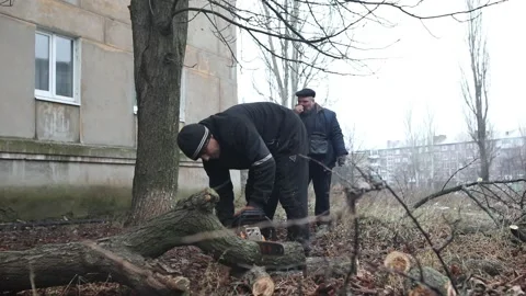 Two men cutting tree, Russian invasion to Ukraine, Bakhmut 2022 and 2023 스톡 동영상 230919799