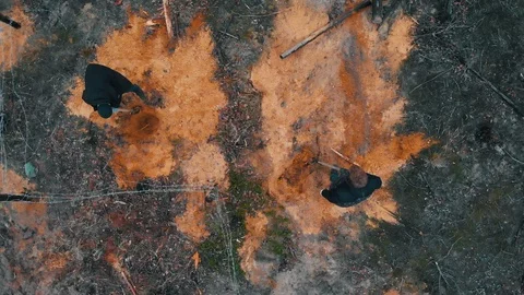 Two men digging the trenches in the forest Stock Footage 118458283